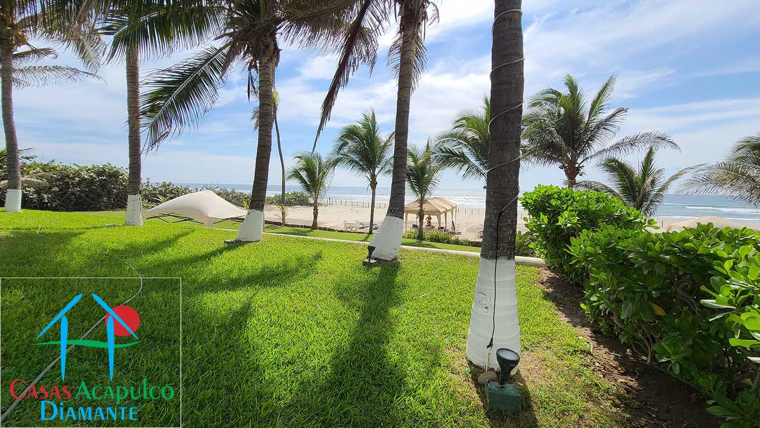 Galápagos - Playa 1 Galápagos - Playa 1