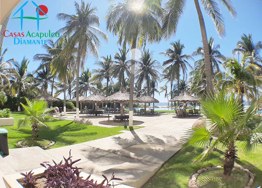 Albatros - Jardines 5 Albatros - Jardines 5