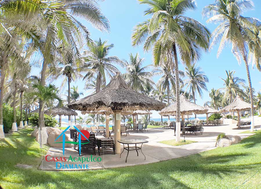 Albatros - Jardines 6 Albatros - Jardines 6