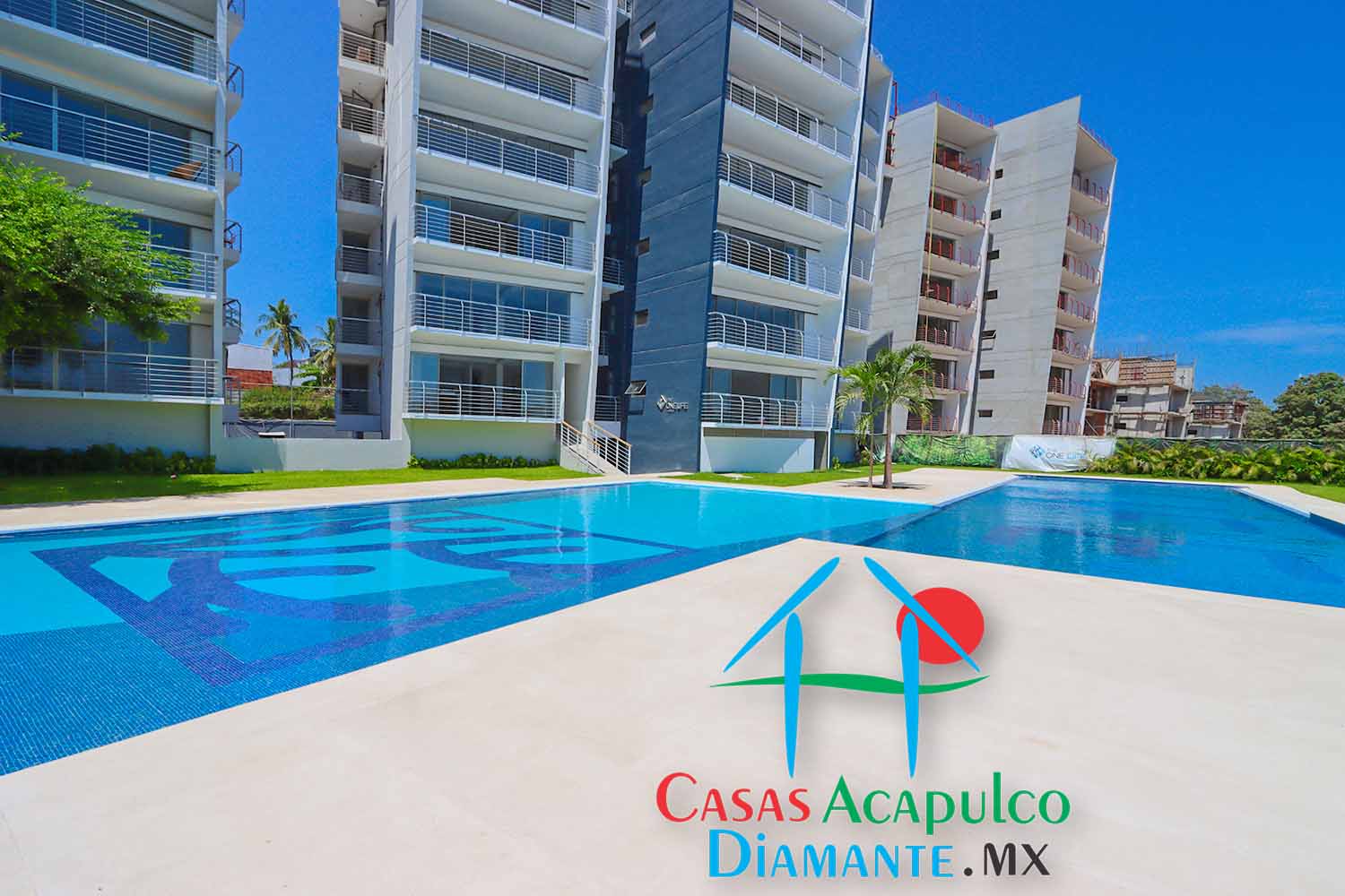 The One Life - Alberca 2