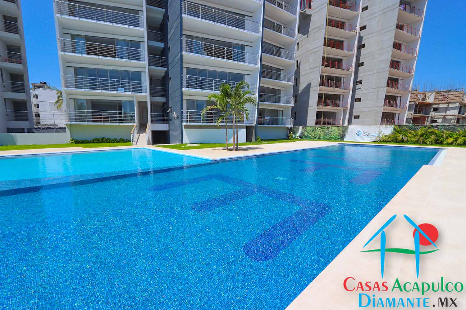 The One Life - Alberca 4