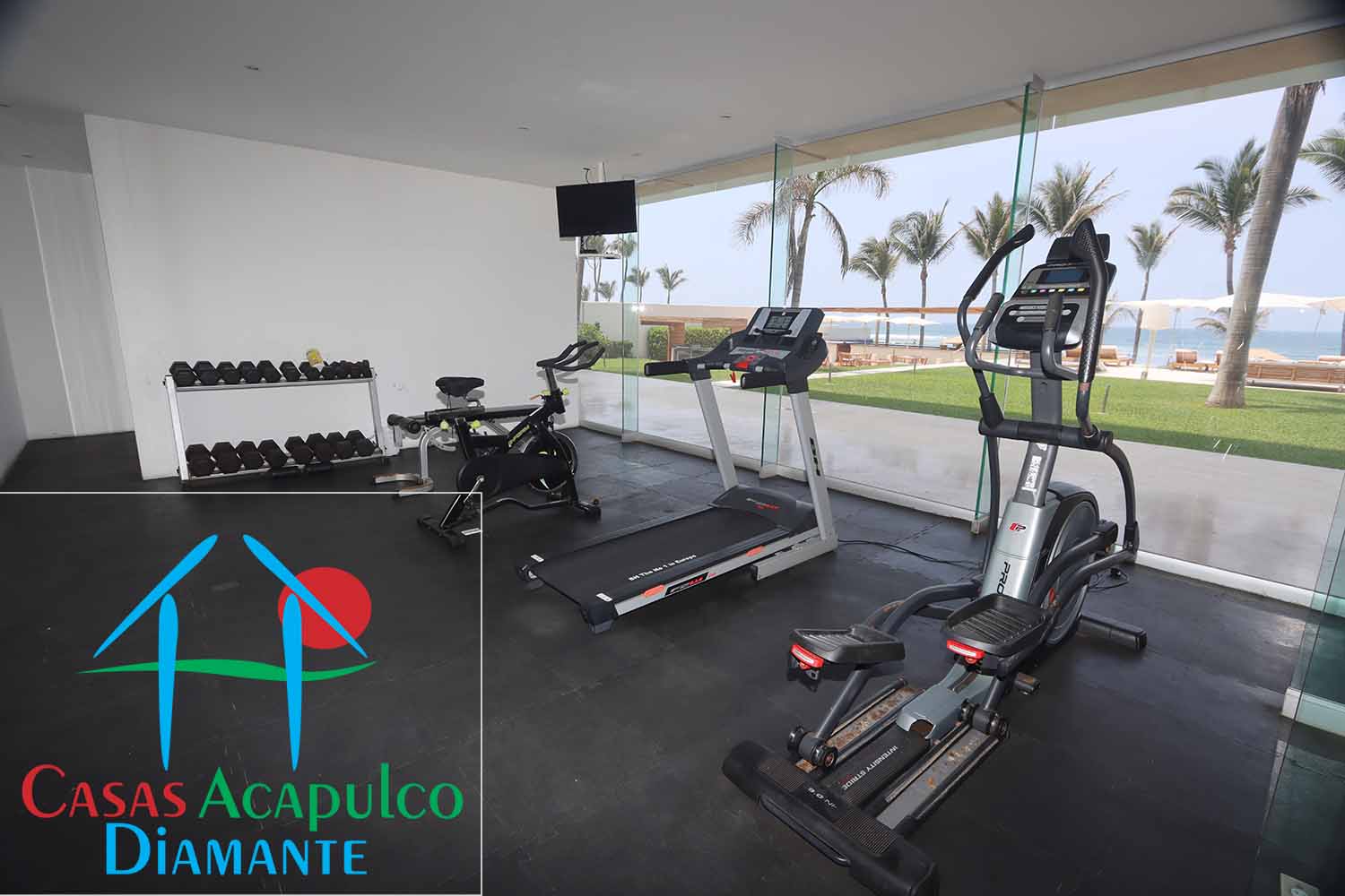 Costa Real - Gimnasio 1 Costa Real - Gimnasio 1