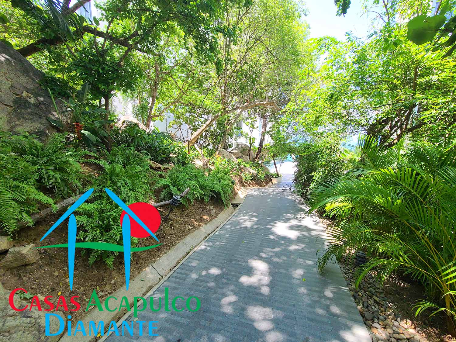 Punta los Riscos - Pasillos 1 Punta los Riscos - Pasillos 1