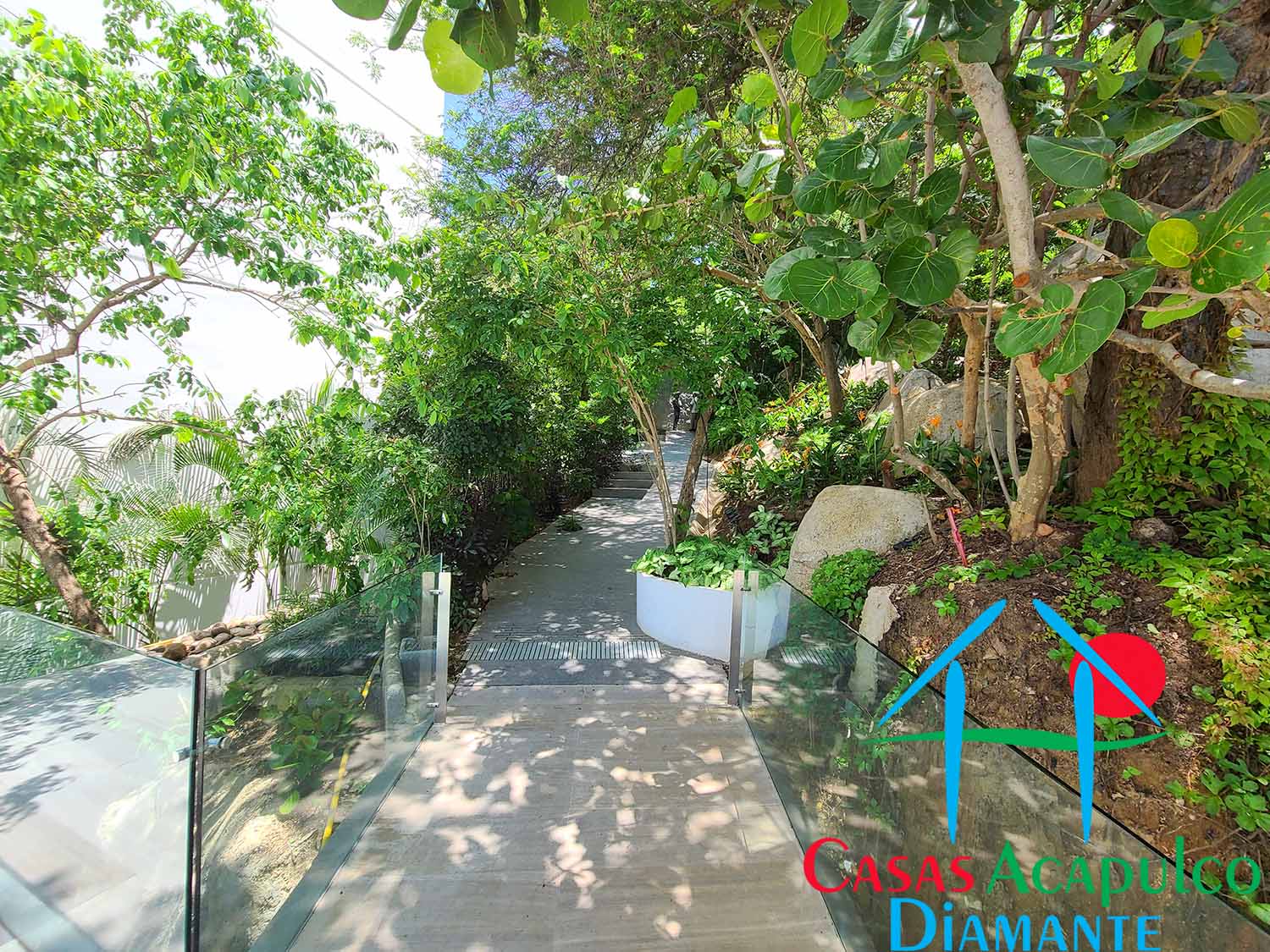 Punta los Riscos - Pasillos 2 Punta los Riscos - Pasillos 2