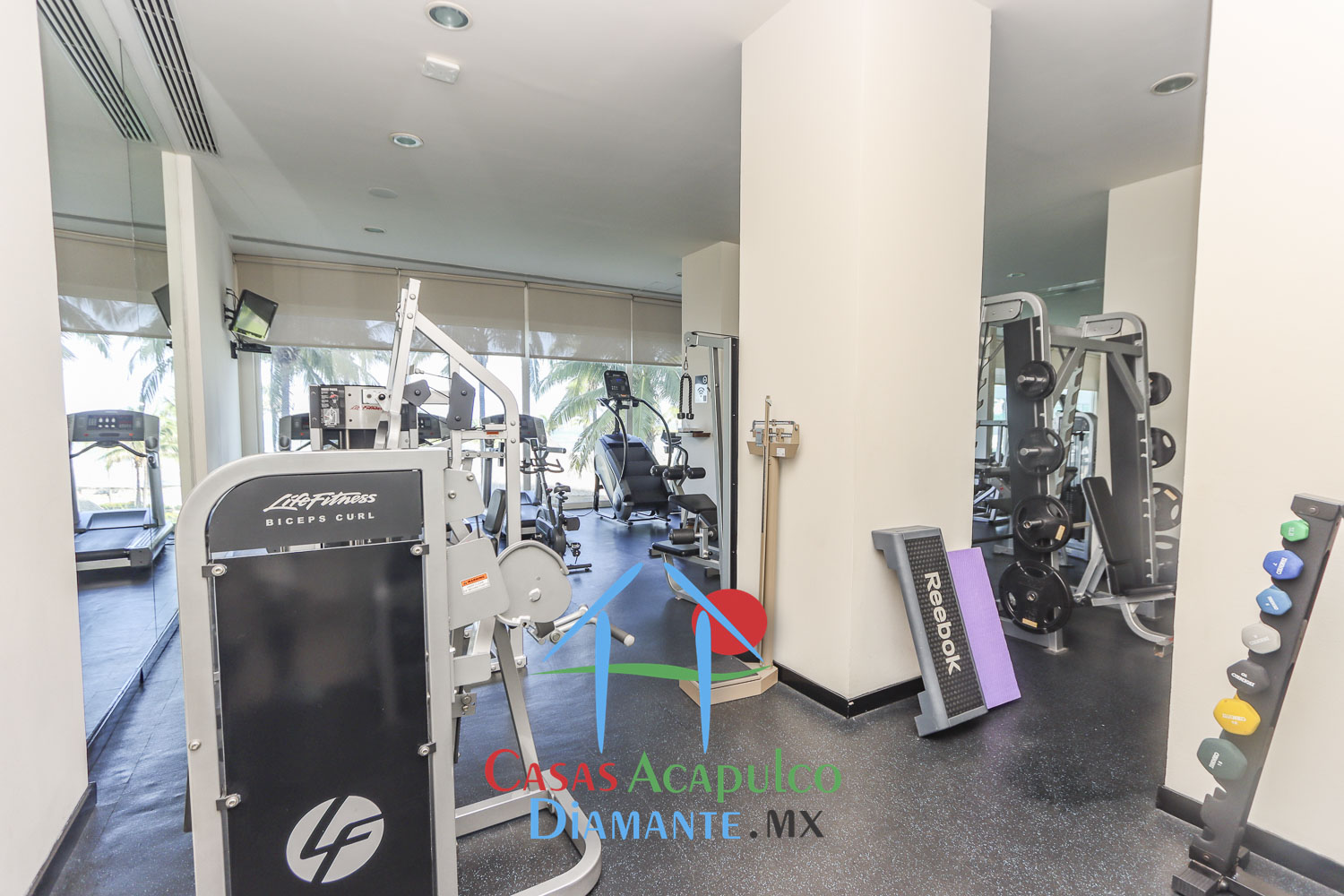 Las Olas - Gimnasio 2