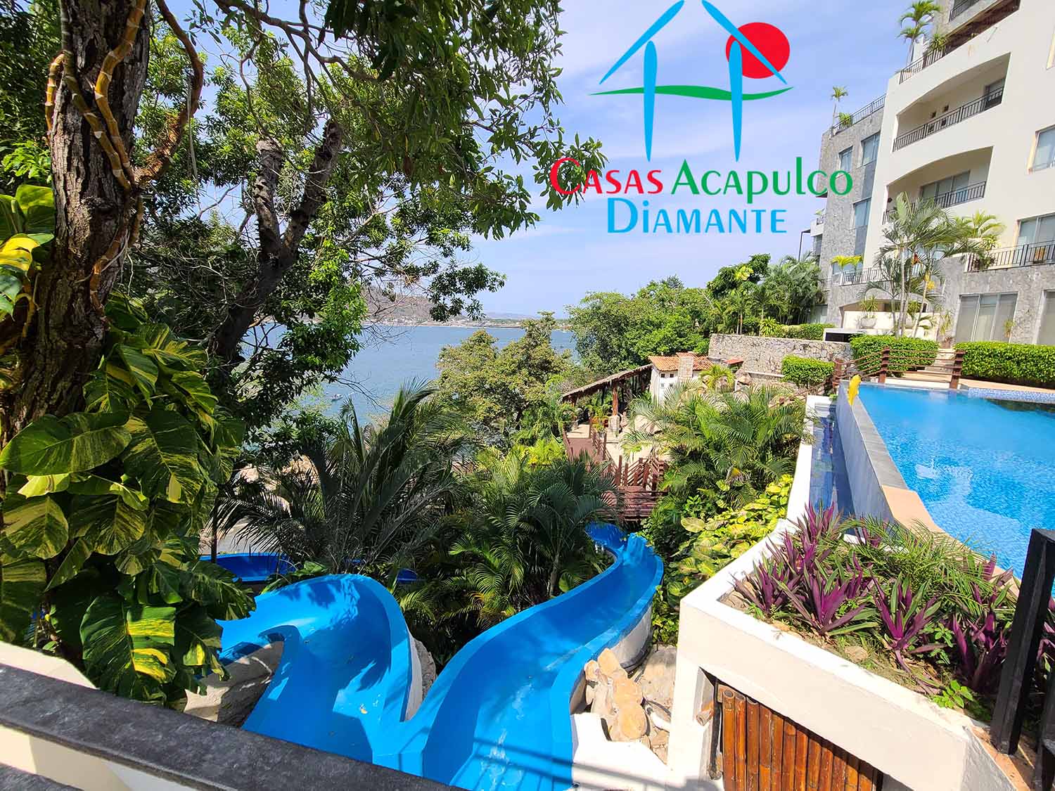 Vista Real - Alberca 4 Vista Real - Alberca 4