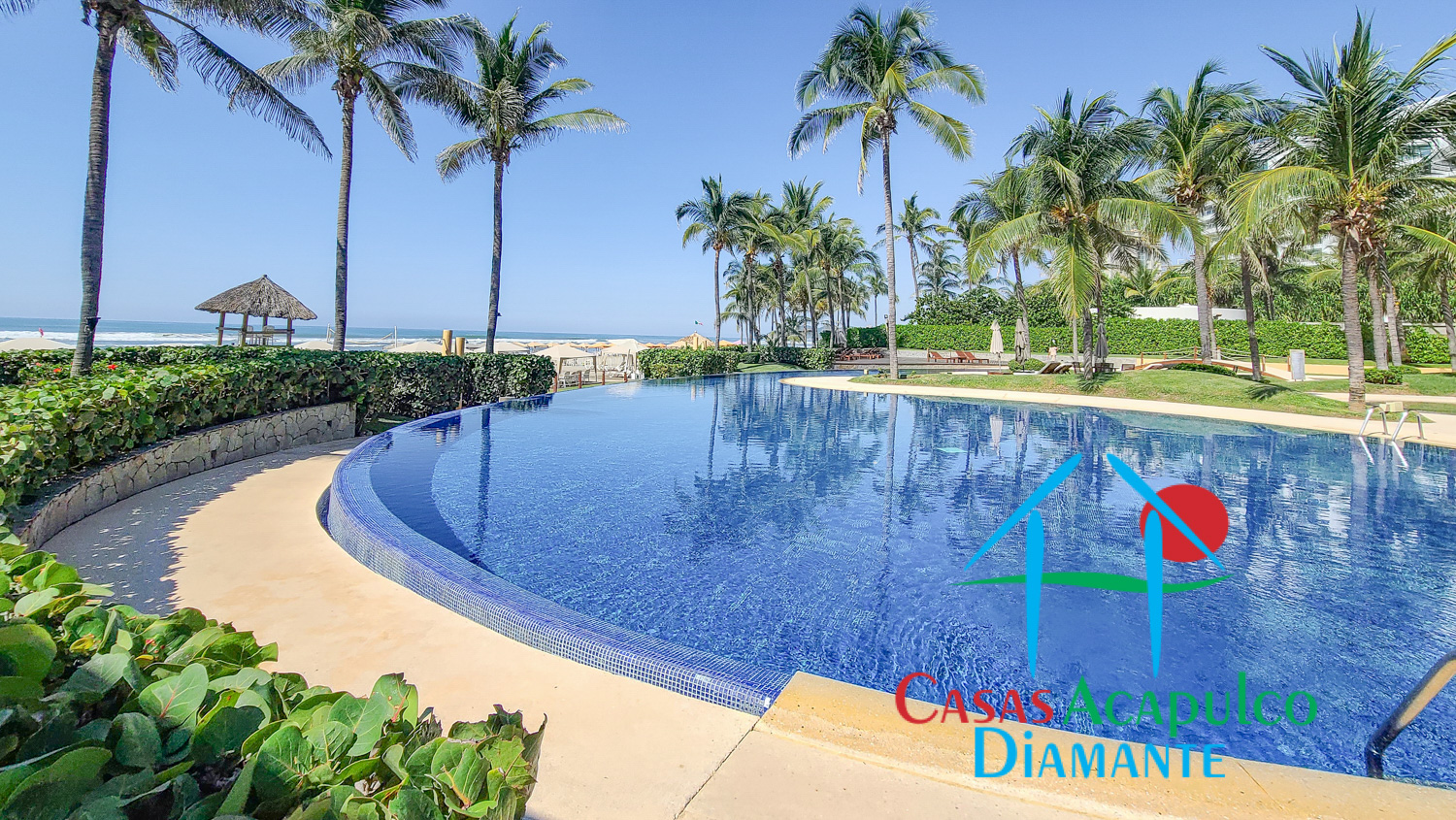 Palmeiras - Albercas 4 Palmeiras - Albercas 4