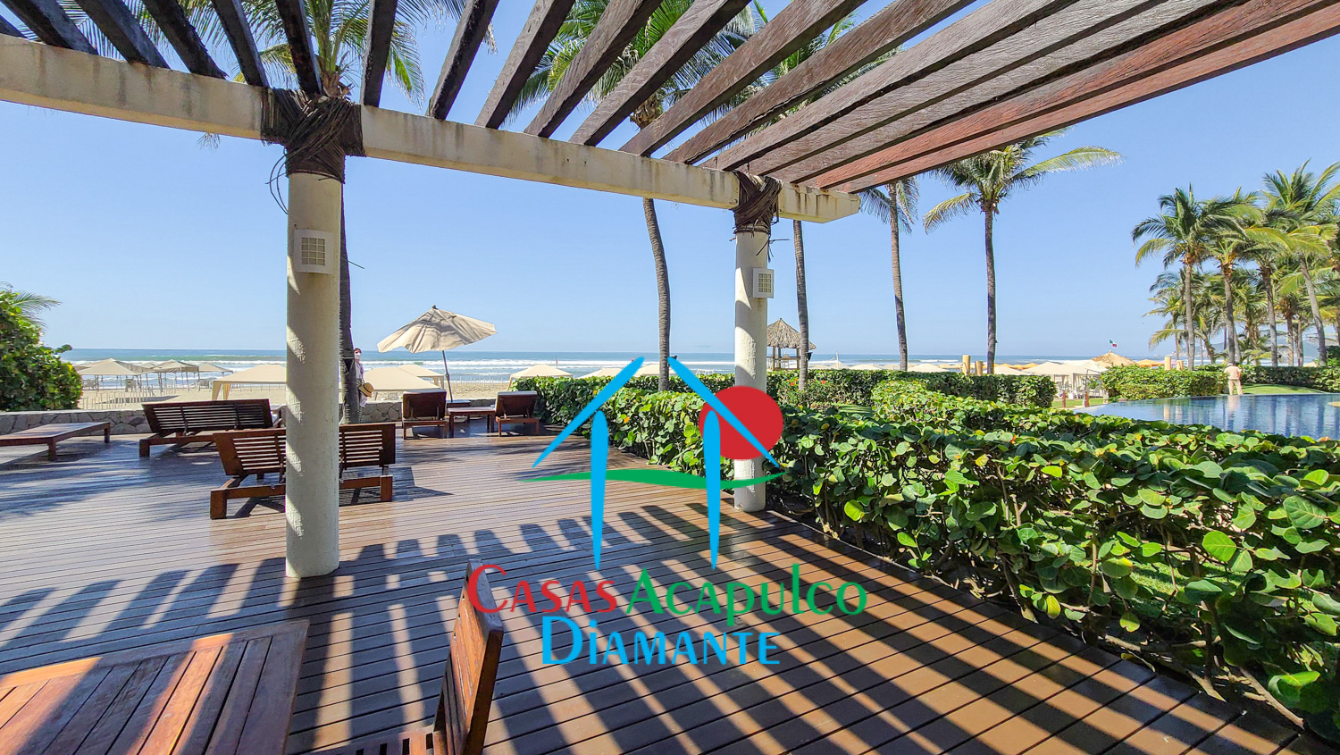 Palmeiras - Albercas 10 Palmeiras - Albercas 10