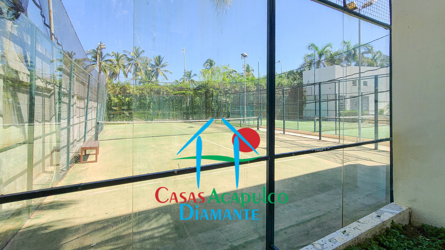 Palmeiras - Canchas 1 Palmeiras - Canchas 1