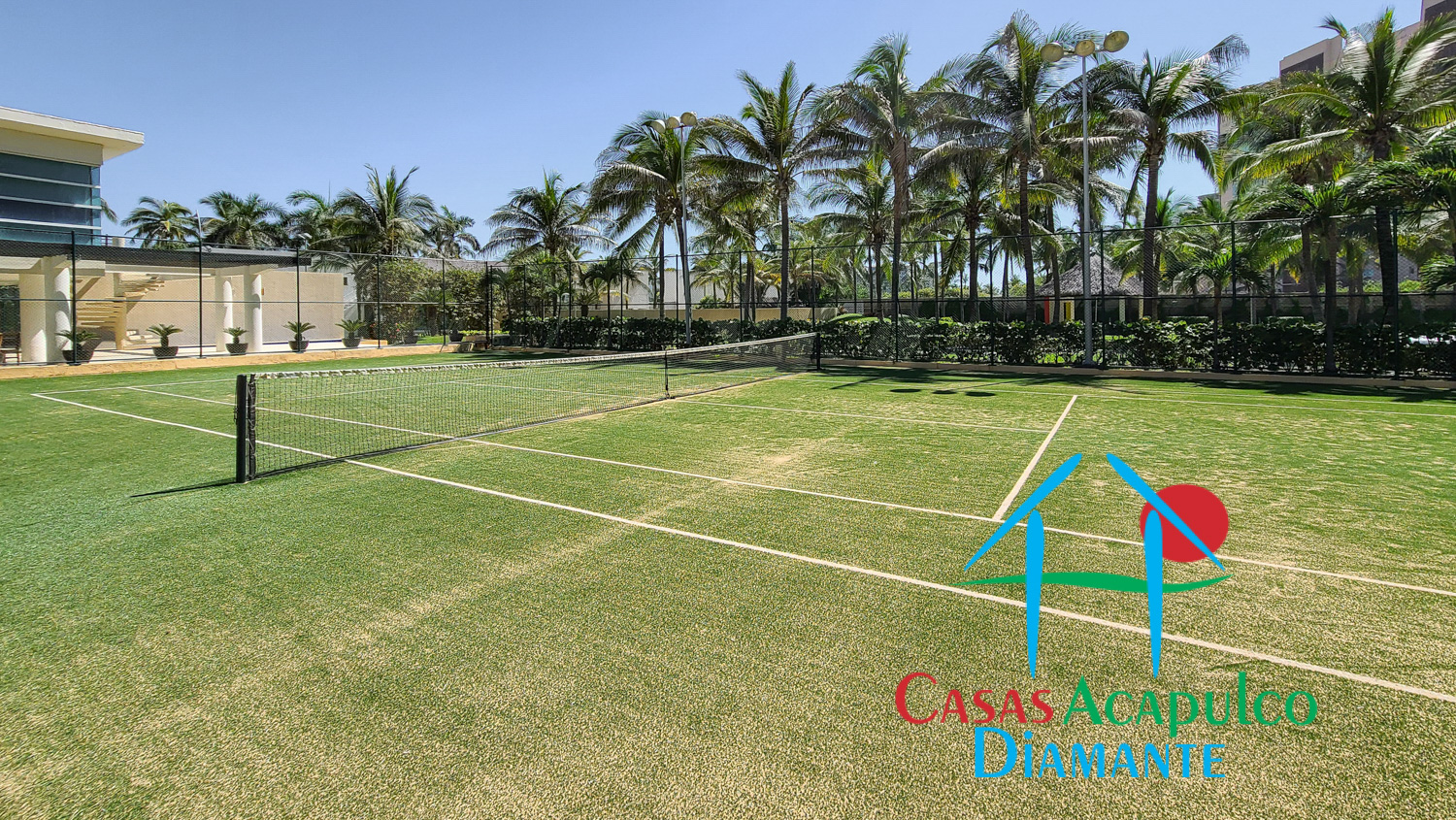 Palmeiras - Canchas 2 Palmeiras - Canchas 2