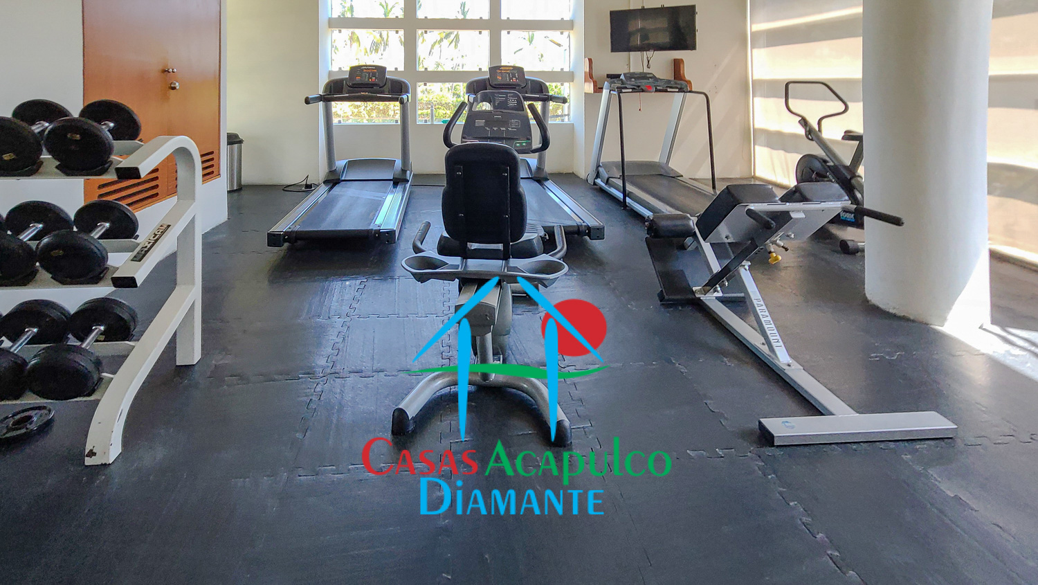 Palmeiras - Gimnasio 1 Palmeiras - Gimnasio 1