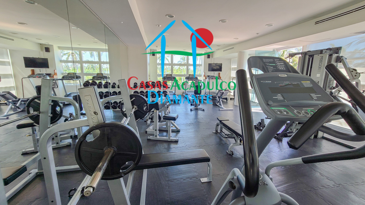 Palmeiras - Gimnasio 2 Palmeiras - Gimnasio 2