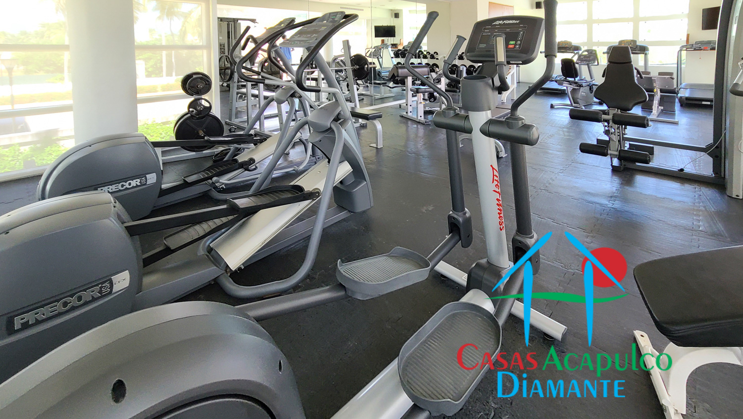 Palmeiras - Gimnasio 3 Palmeiras - Gimnasio 3