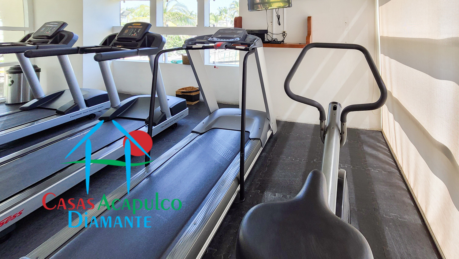 Palmeiras - Gimnasio 4 Palmeiras - Gimnasio 4