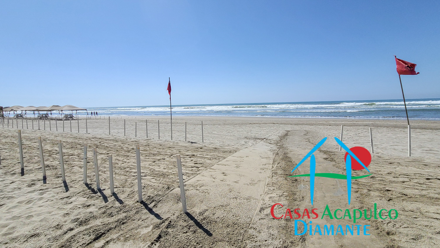 Palmeiras - Playa 11 Palmeiras - Playa 11