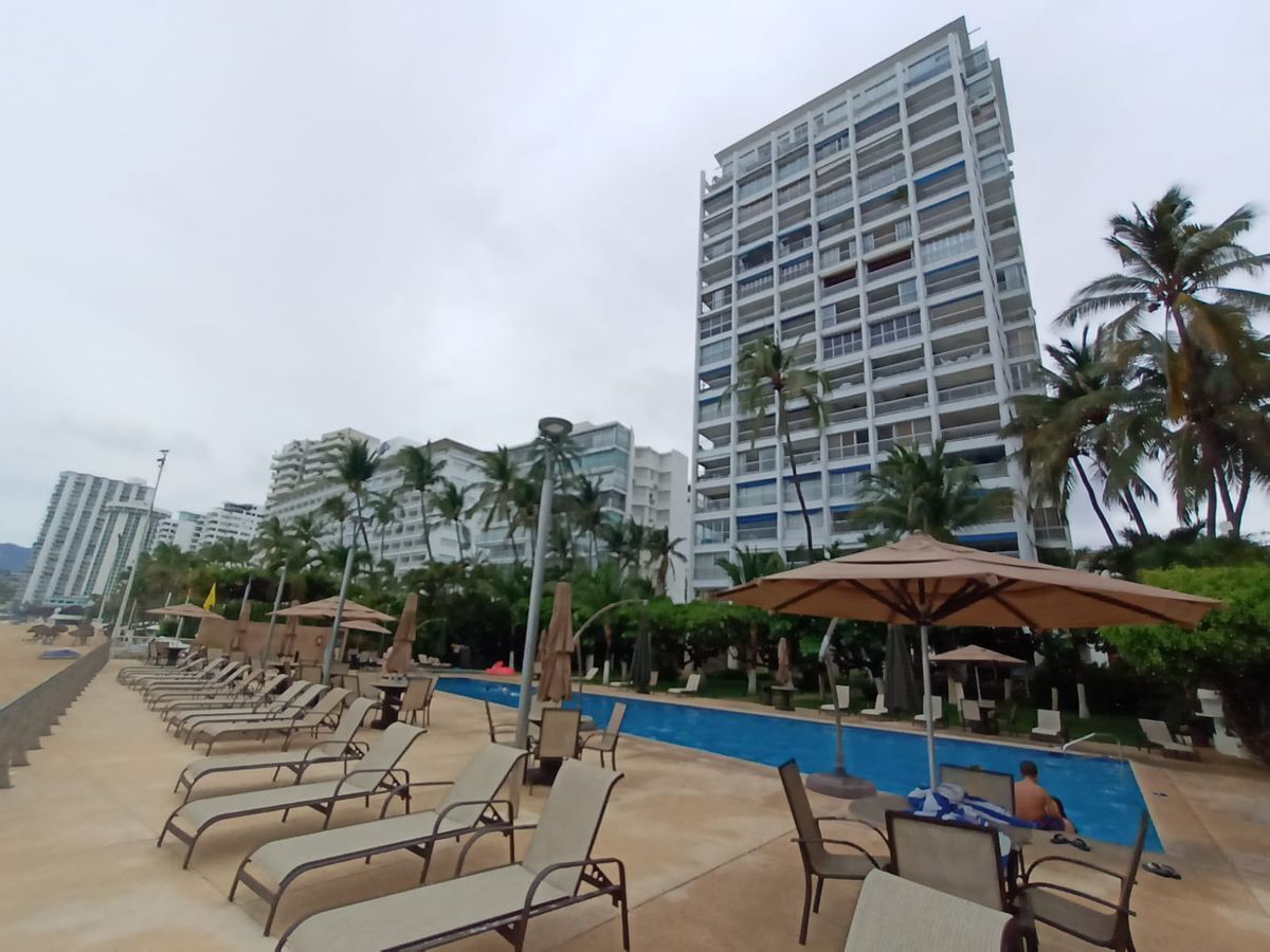 Camelia y Magnolia Camelia y Magnolia