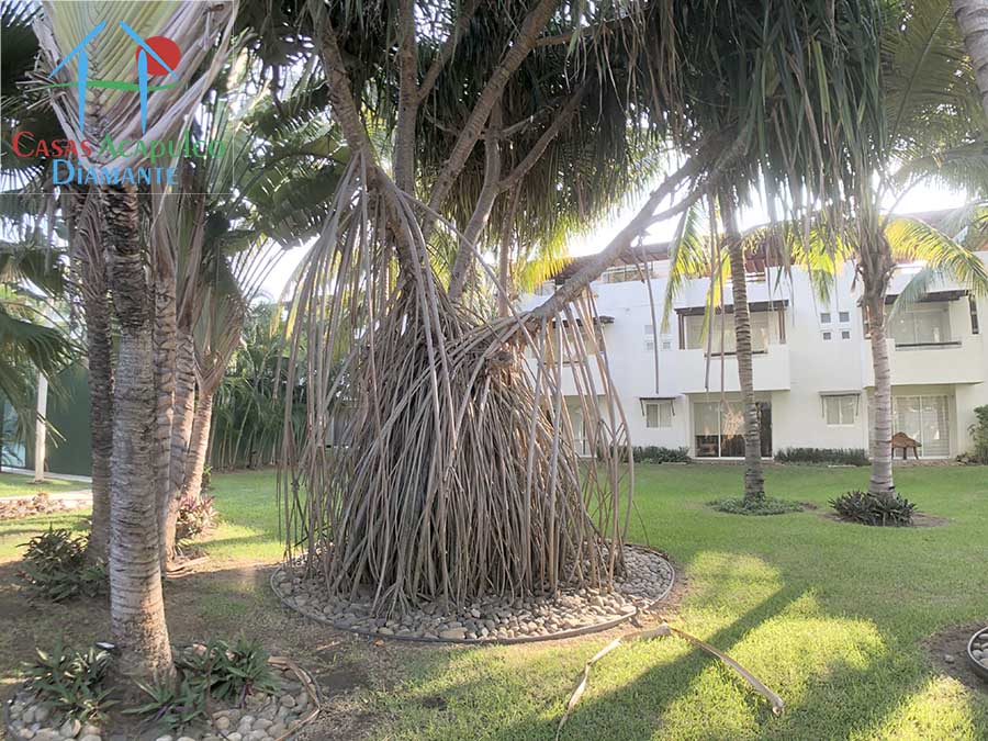 Villas Terrasol Diamante - Jardines 4 Villas Terrasol Diamante - Jardines 4