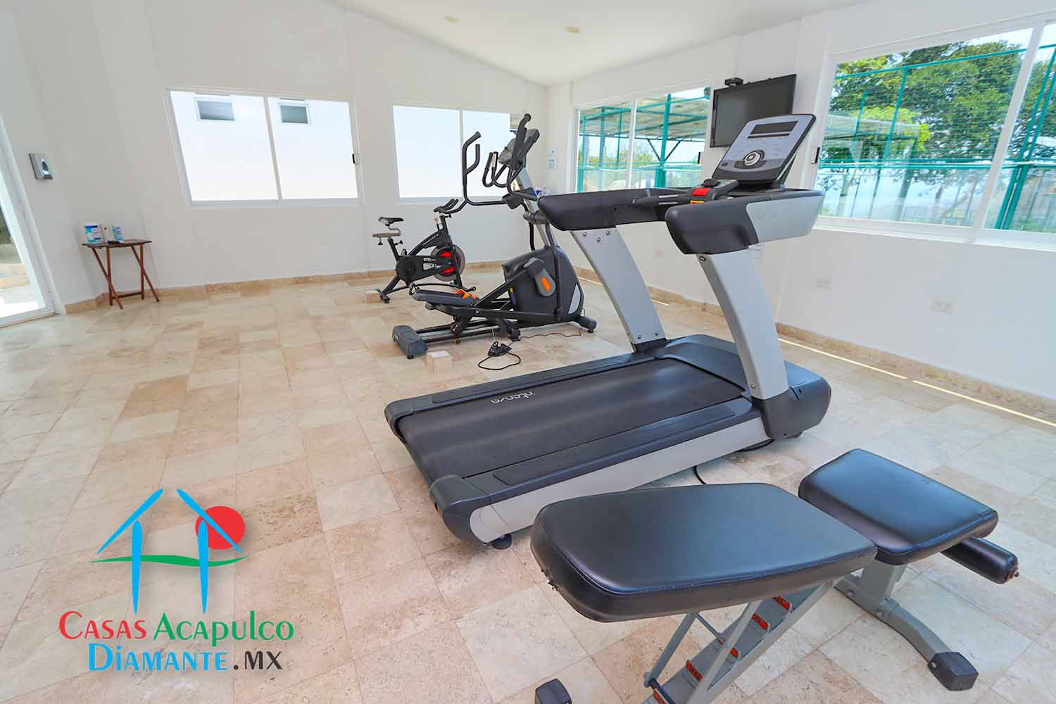 Palmetto - Gimnasio 2