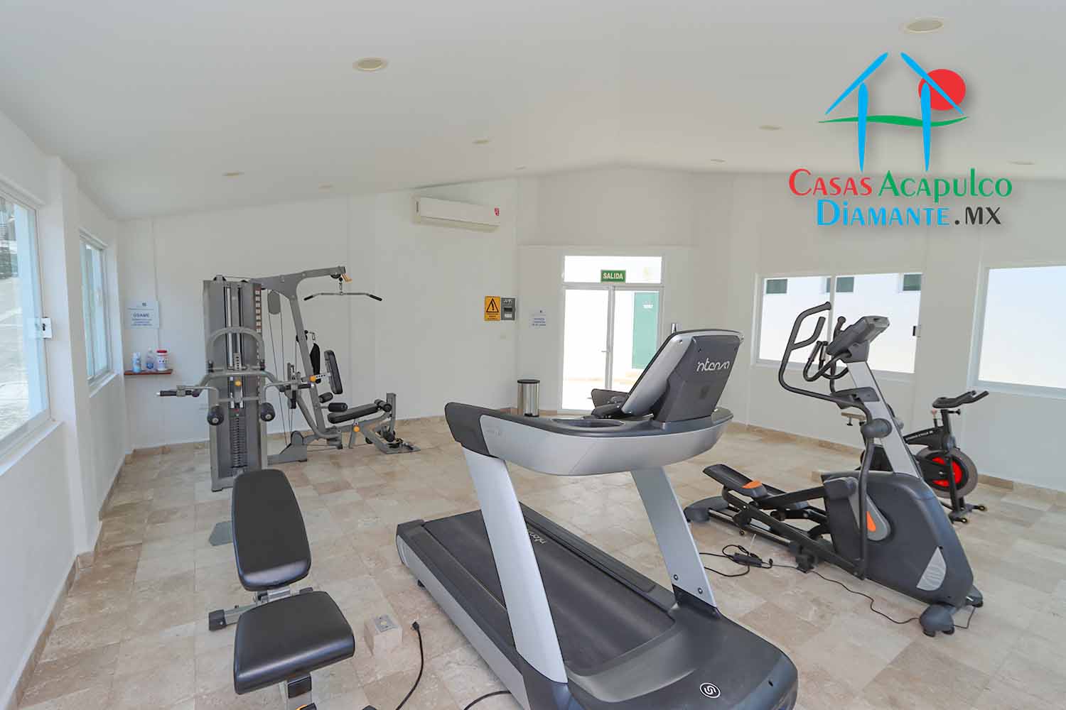 Palmetto - Gimnasio 3