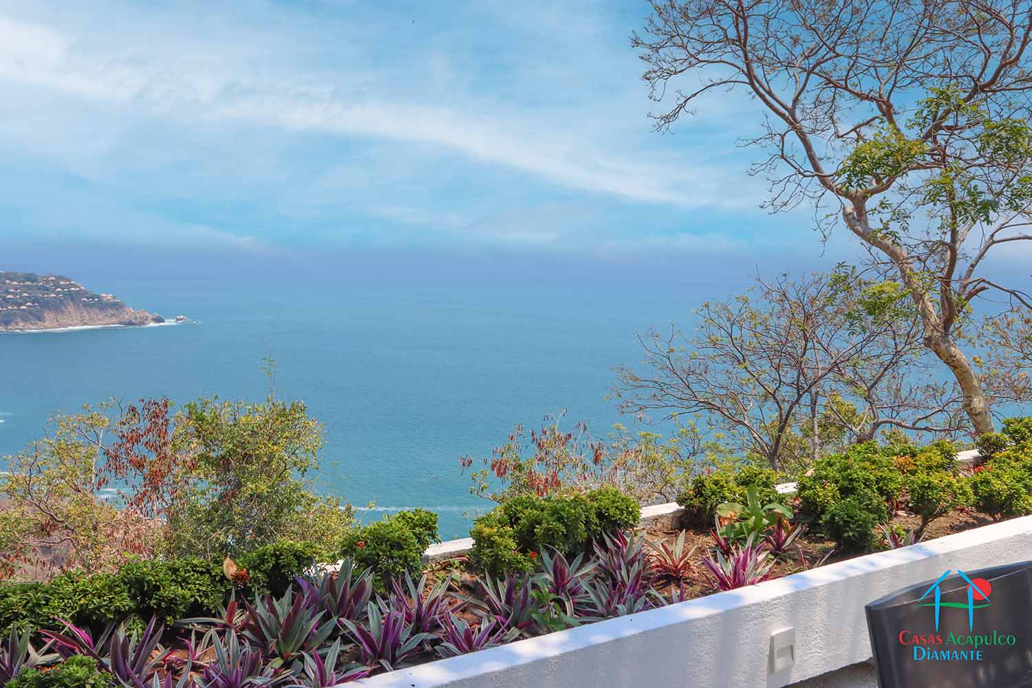 Palmetto - Mirador 6 Palmetto - Mirador 6