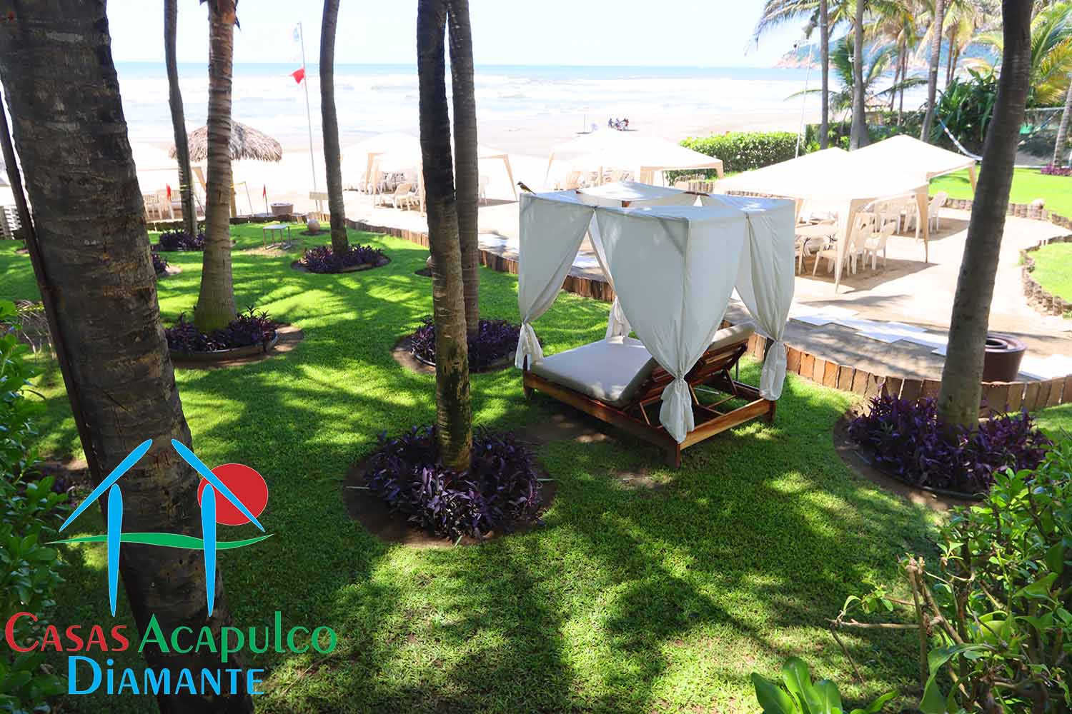 Costa Bamboo - Jardin 10