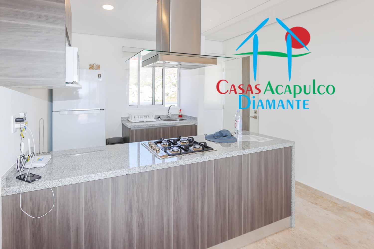 Palm Diamante T1 A 301 - Cocina 1