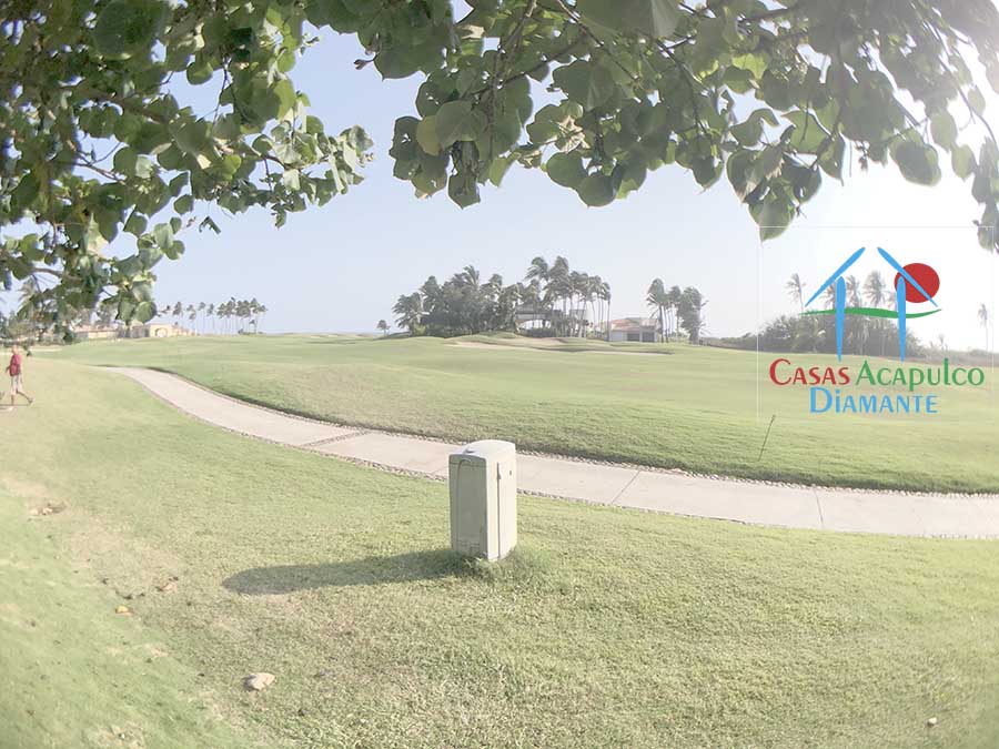 Delta 8 - Terraza 5 Delta 8 - Terraza 5