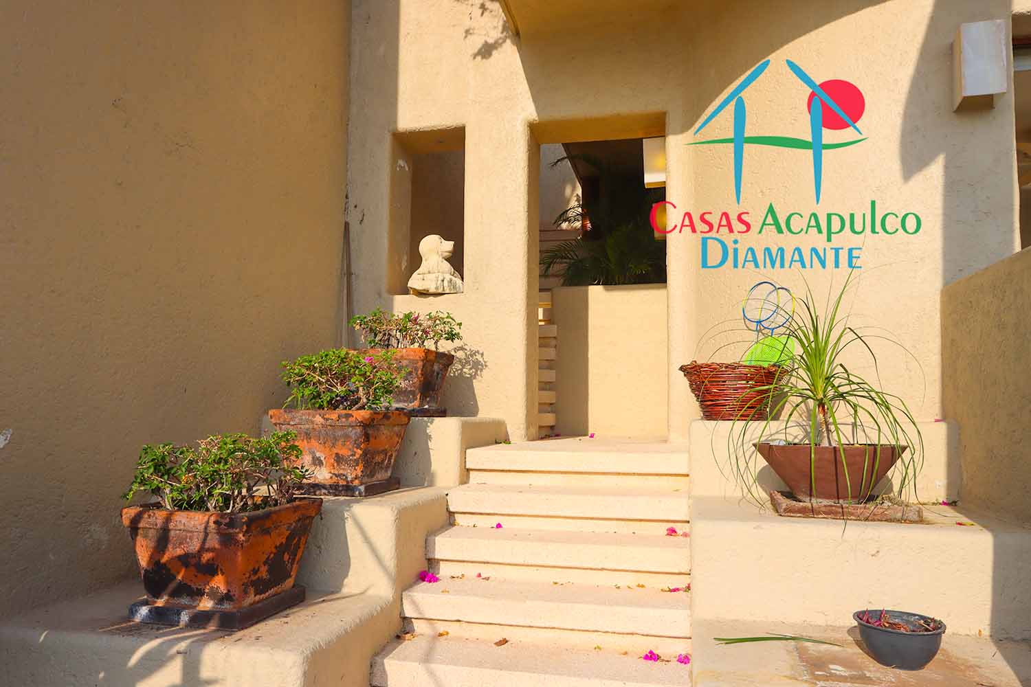 Puerta del sol - Jardín 2