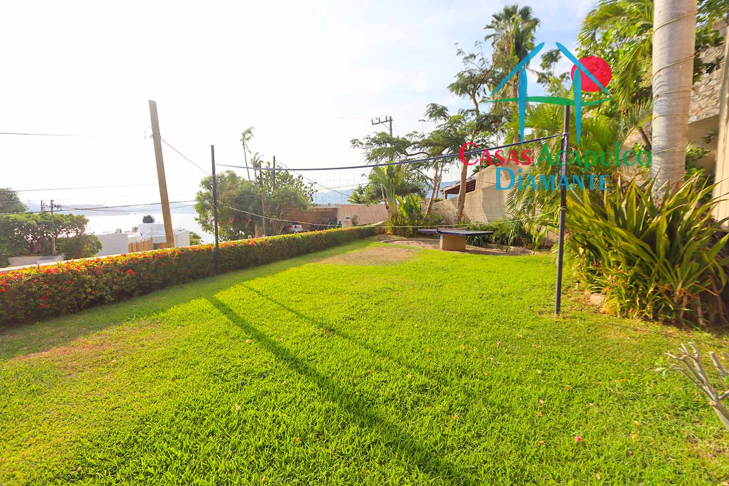 Puerta del sol - Jardín 5