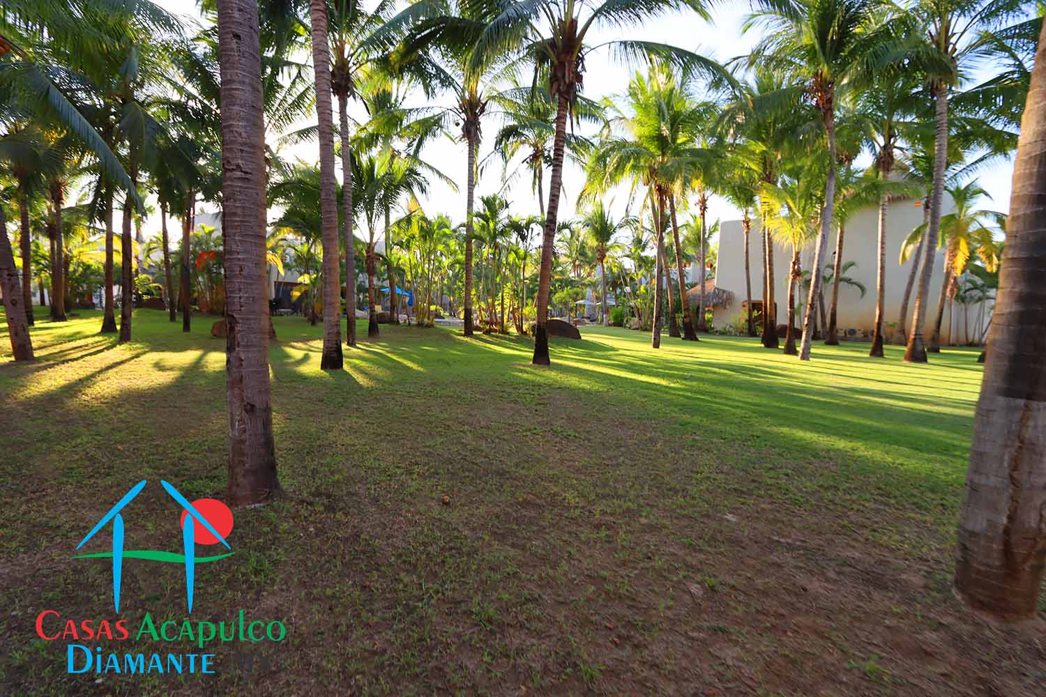 Terreno Son Vida San Thomas 6 - Terreno 8