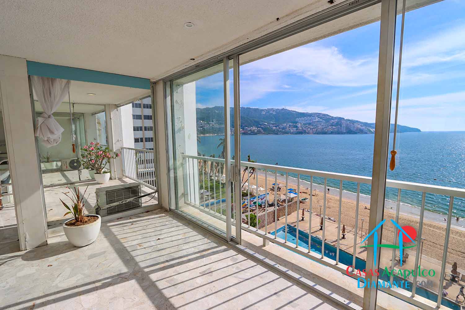 Camelia y Magnolia 502 Camelia y Magnolia 502