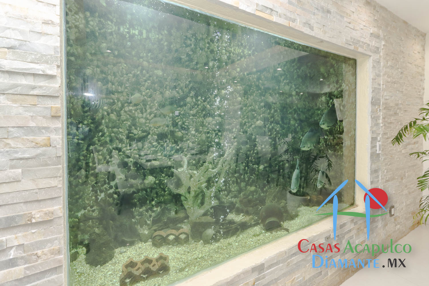 Villas Jazmín 3 - Estancia 6