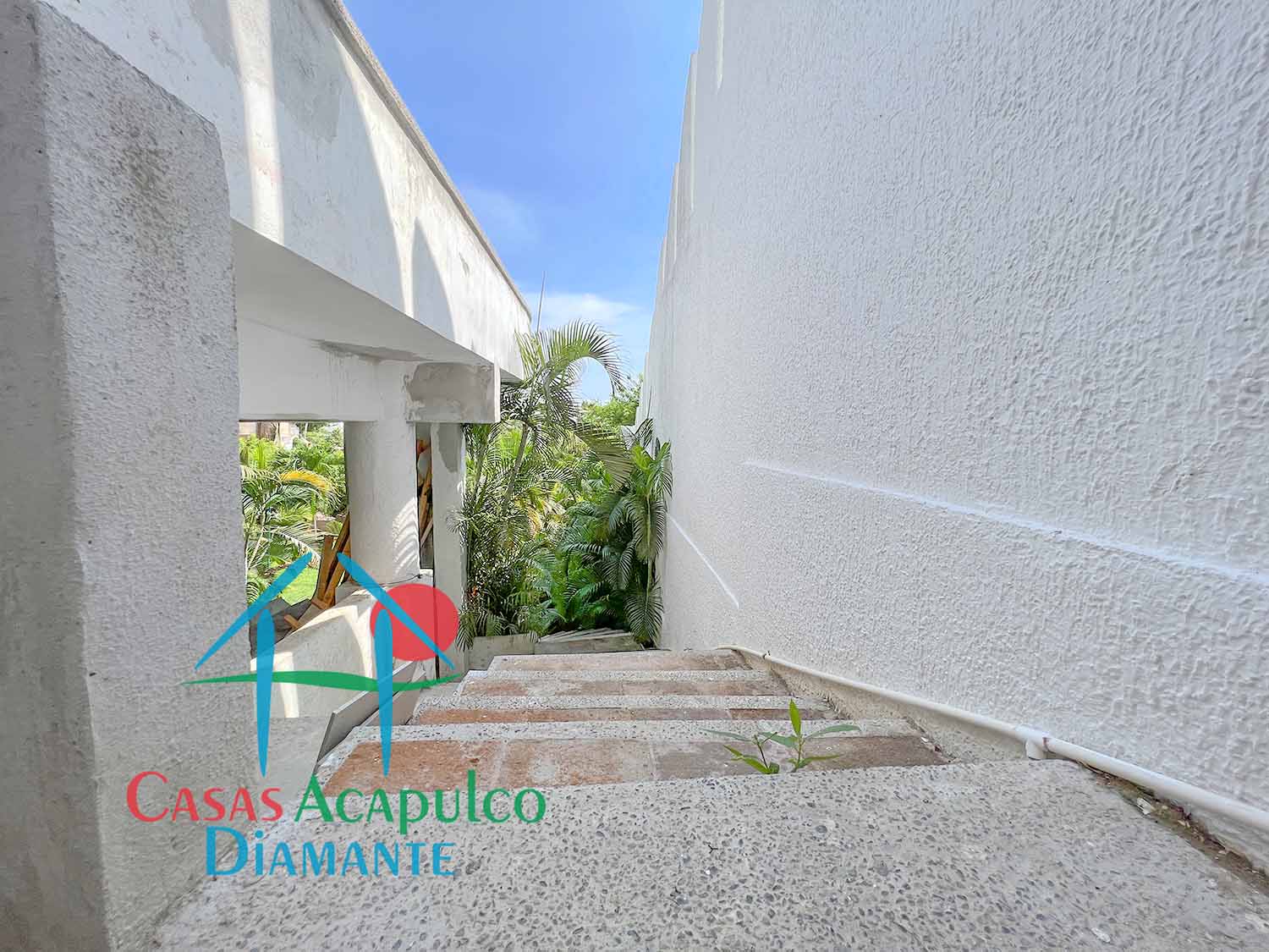 Casa Suriana - Jardín 1