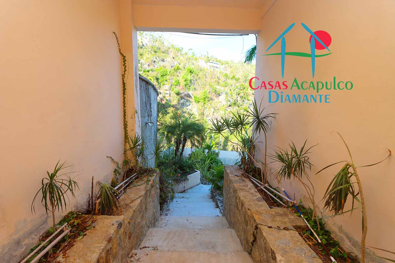 Villa Skyros - Jardín 1