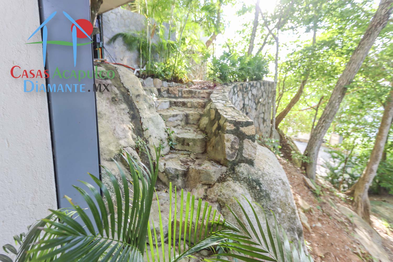 Villa Scarlet Bird - Spa 3