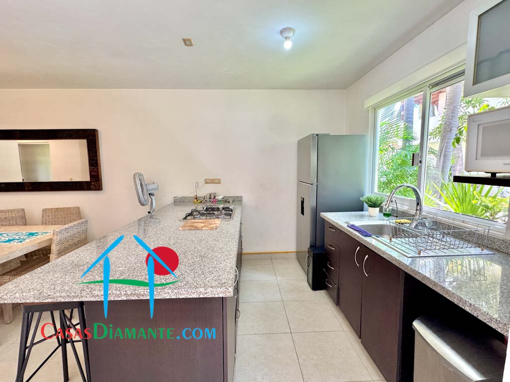 Residencial Terrasol Diamante Sol 462 - Cocina 1