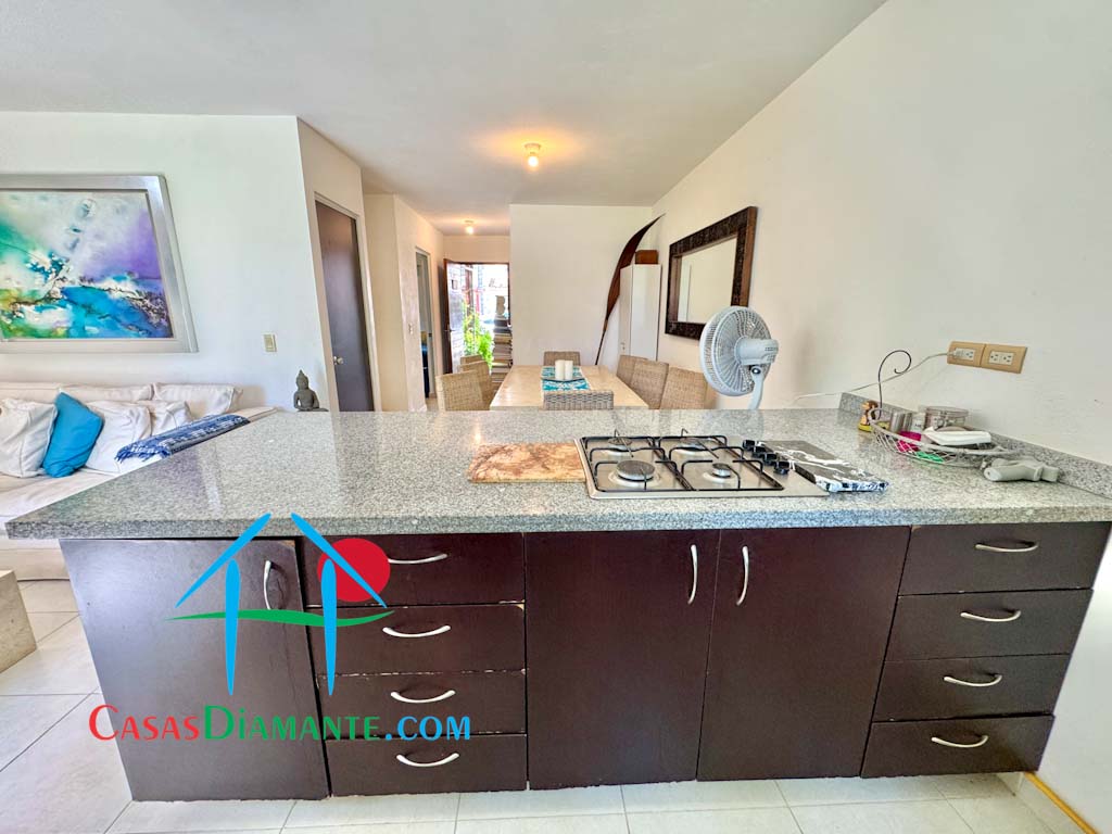 Residencial Terrasol Diamante Sol 462 - Cocina 6