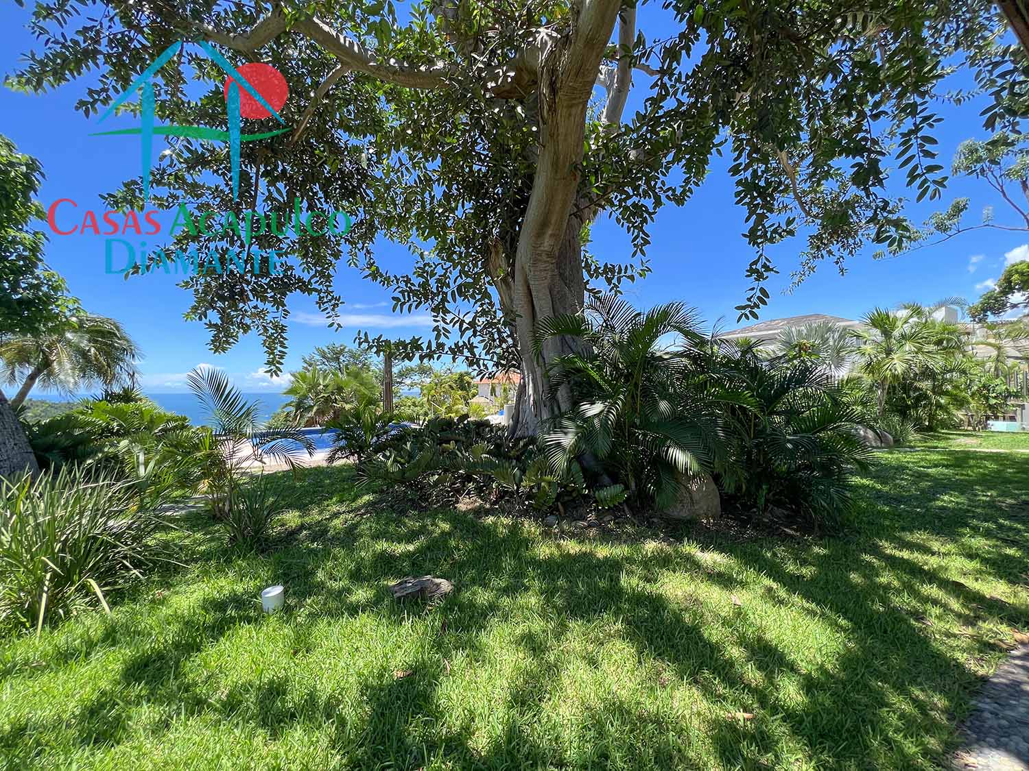 Casa Jade - Jardín 4