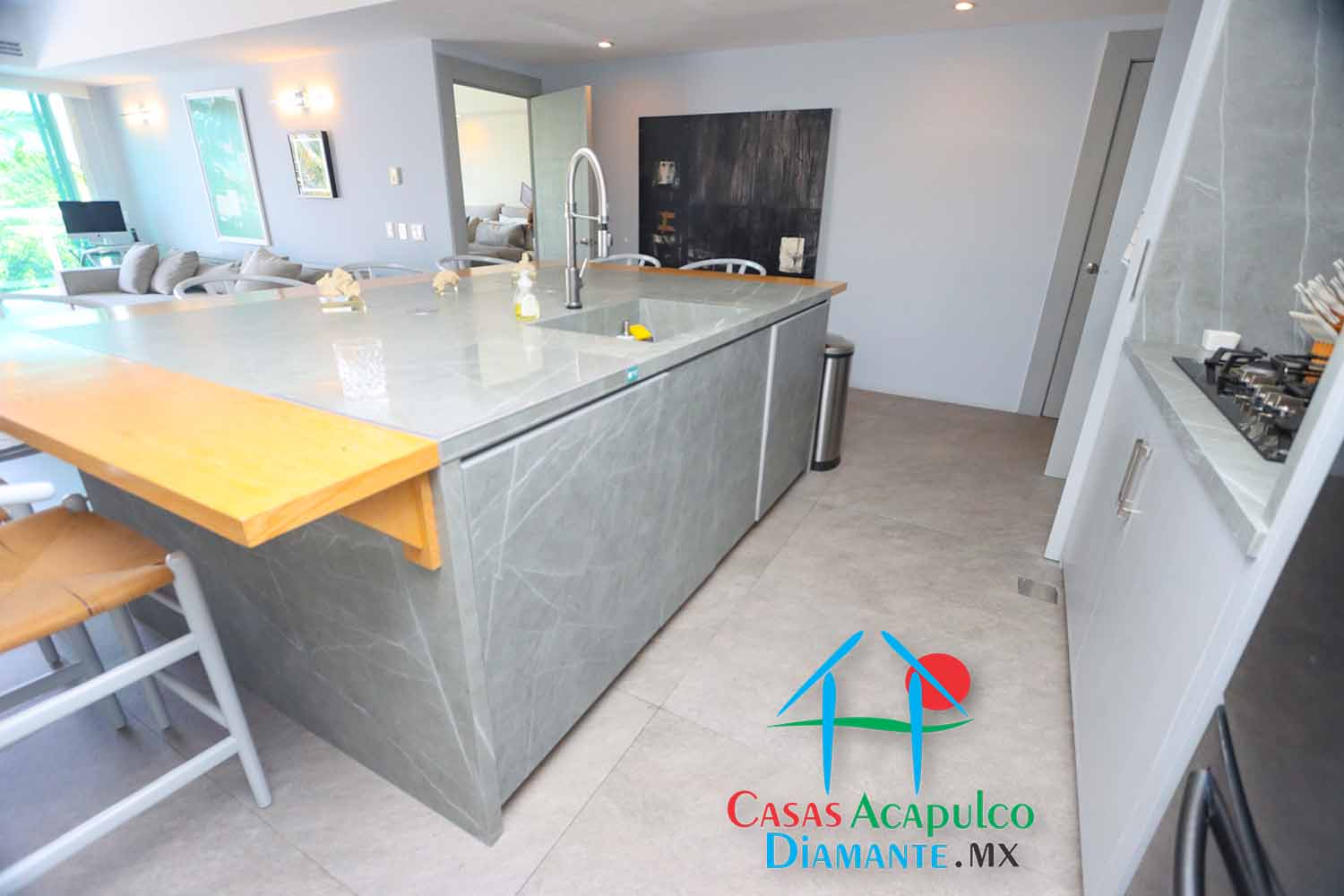 Villa Alejandra 3000 A 601 - Cocina 6