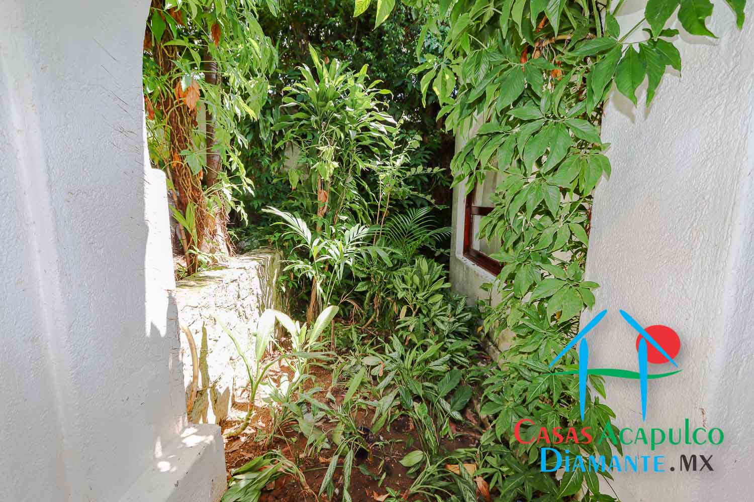 Casa Ticitzin - Jardín 4