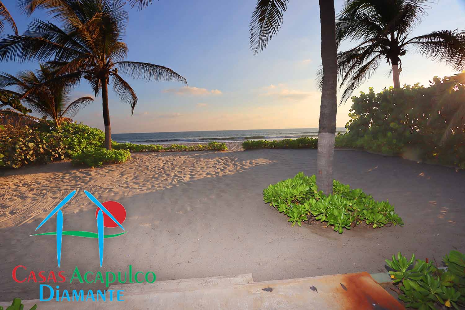 Casa Vicente Guerrero - Terraza 21